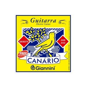 ENCORDOAMENTO GUITARRA GESGT9