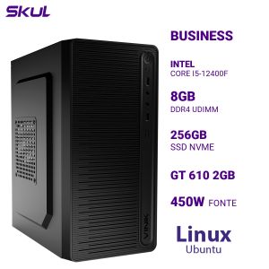 COMPUTADOR B500 CORE I5-12400F MEM 8GB DDR4 SSD 256GB NVME GT 610 2GB FONTE 450W 80 PLUS BRONZE LINUX UBUNTU