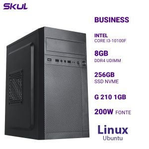 COMPUTADOR B300 CORE I3-10100F MEM 8GB DDR4 SSD 256GB NVME G 210 1GB  FONTE 200W LINUX UBUNTU