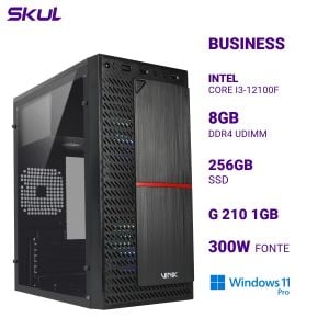 COMPUTADOR B300 CORE I3-12100F MEM 8GB DDR4 SSD 256GB G 210 1GB  FONTE 300W  WINDOWS 11 PRO
