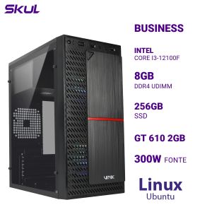 COMPUTADOR B300 CORE I3-12100F MEM 8GB DDR4 SSD 256GB GT 610 2GB FONTE 300W  LINUX UBUNTU