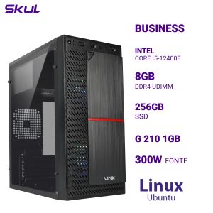 COMPUTADOR B500 CORE I5-12400F MEM 8GB DDR4 SSD 256GB G 210 1GB  FONTE 300W  LINUX UBUNTU