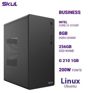 COMPUTADOR B300 CORE I3 10100F 3.6GHZ MEM 8GB DDR4 SSD 256GB NVME G 210 1GB  FONTE 200W LINUX UBUNTU