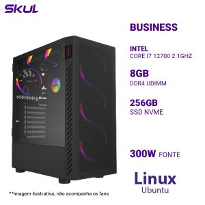COMPUTADOR B700 CORE I7 12700 2.1GHZ MEM 8GB DDR4 SSD 256GB NVME FONTE 300W  LINUX UBUNTU