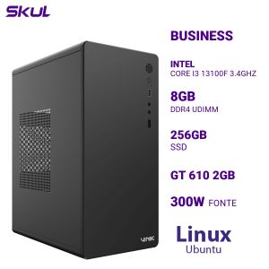 COMPUTADOR B300 CORE I3 13100F 3.4GHZ MEM 8GB DDR4 SSD 256GB GT 610 2GB FONTE 300W  LINUX UBUNTU