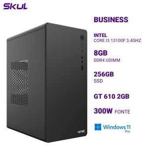 COMPUTADOR B300 CORE I3 13100F 3.4GHZ MEM 8GB DDR4 SSD 256GB GT 610 2GB FONTE 300W  WINDOWS 11 PRO