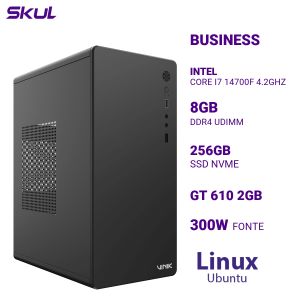 COMPUTADOR B700 CORE I7 14700F 4.2GHZ MEM 8GB DDR4 SSD 256GB NVME GT 610 2GB FONTE 300W  LINUX UBUNTU