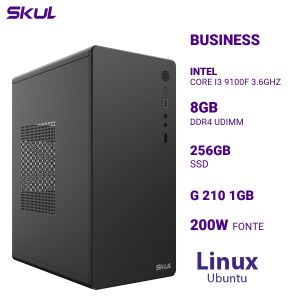 COMPUTADOR B300 CORE I3 9100F 3.6GHZ MEM 8GB DDR4 SSD 256GB G 210 1GB FONTE 200W LINUX UBUNTU