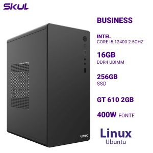 COMPUTADOR B500 CORE I5 12400 2.5GHZ MEM 16GB DDR4 SSD 256GB GT 610 2GB FONTE 400W 80 PLUS LINUX UBUNTU