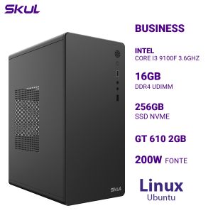 COMPUTADOR B300 CORE I3 9100F 3.6GHZ MEM 16GB DDR4 SSD 256GB NVME GT 610 2GB FONTE 200W LINUX UBUNTU