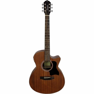 VIOLAO ACO ELETROACUSTICO PERFORMANCE PLUS GGC PLUS CEQ WS