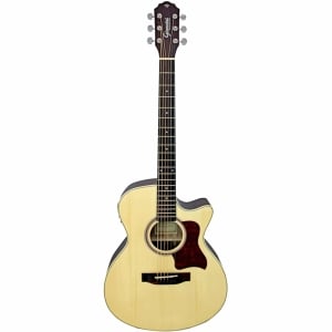 VIOLAO ACO ELETROACUSTICO GIANNINI PERFORMANCE PLUS GGC PLUS CEQ NS