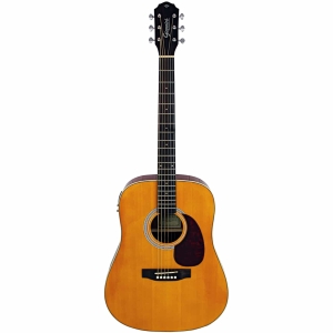 VIOLAO ACO ELETROACUSTICO PERFORMANCE PLUS GDR PLUS CEQ NG