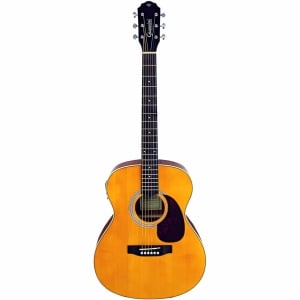 VIOLAO ACO ELETROACÚSTICO PERFORMANCE PLUS GAD PLUS EQ NG