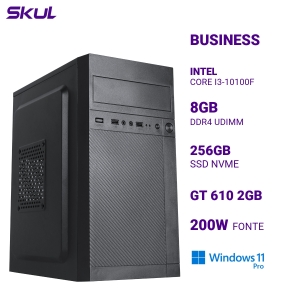 COMPUTADOR B300 CORE I3-10100F MEM 8GB DDR4 SSD 256GB NVME GT 610 2GB FONTE 200W WINDOWS 11 PRO