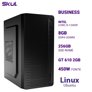 COMPUTADOR B500 CORE I5-12400F MEM 8GB DDR4 SSD 256GB NVME GT 610 2GB FONTE 450W 80 PLUS BRONZE LINUX UBUNTU