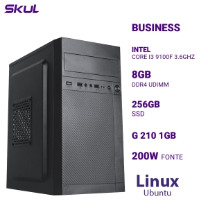 COMPUTADOR B300 CORE I3 9100F 3.6GHZ MEM 8GB DDR4 SSD 256GB G 210 1GB  FONTE 200W LINUX UBUNTU