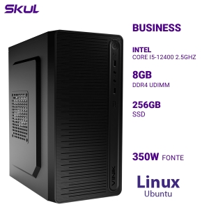 COMPUTADOR B500 CORE I5-12400 2.5GHZ MEM 8GB DDR4 SSD 256GB FONTE 350W  LINUX UBUNTU