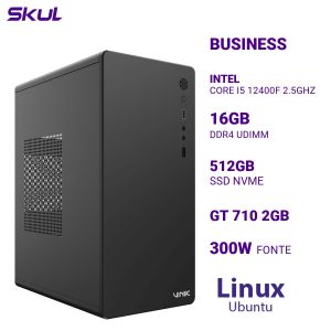 COMPUTADOR B500 CORE I5 12400F 2.5GHZ MEM 16GB DDR4 SSD 512GB NVME GT 710 2GB FONTE 300W  LINUX UBUNTU