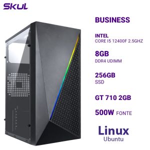COMPUTADOR B500 CORE I5 12400F 2.5GHZ MEM 8GB DDR4 SSD 256GB GT 710 2GB FONTE 500W  LINUX UBUNTU